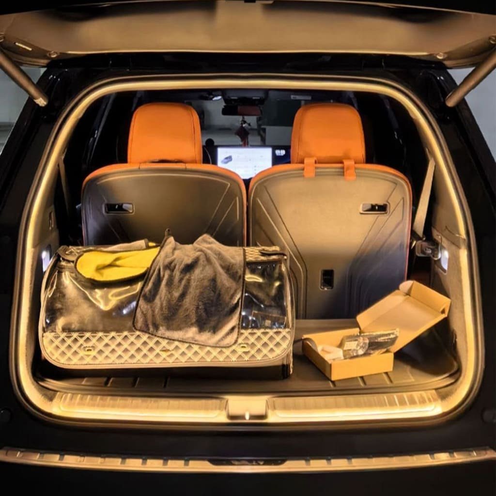 LuxTrono™ | Lights Up Your Trunk in Style