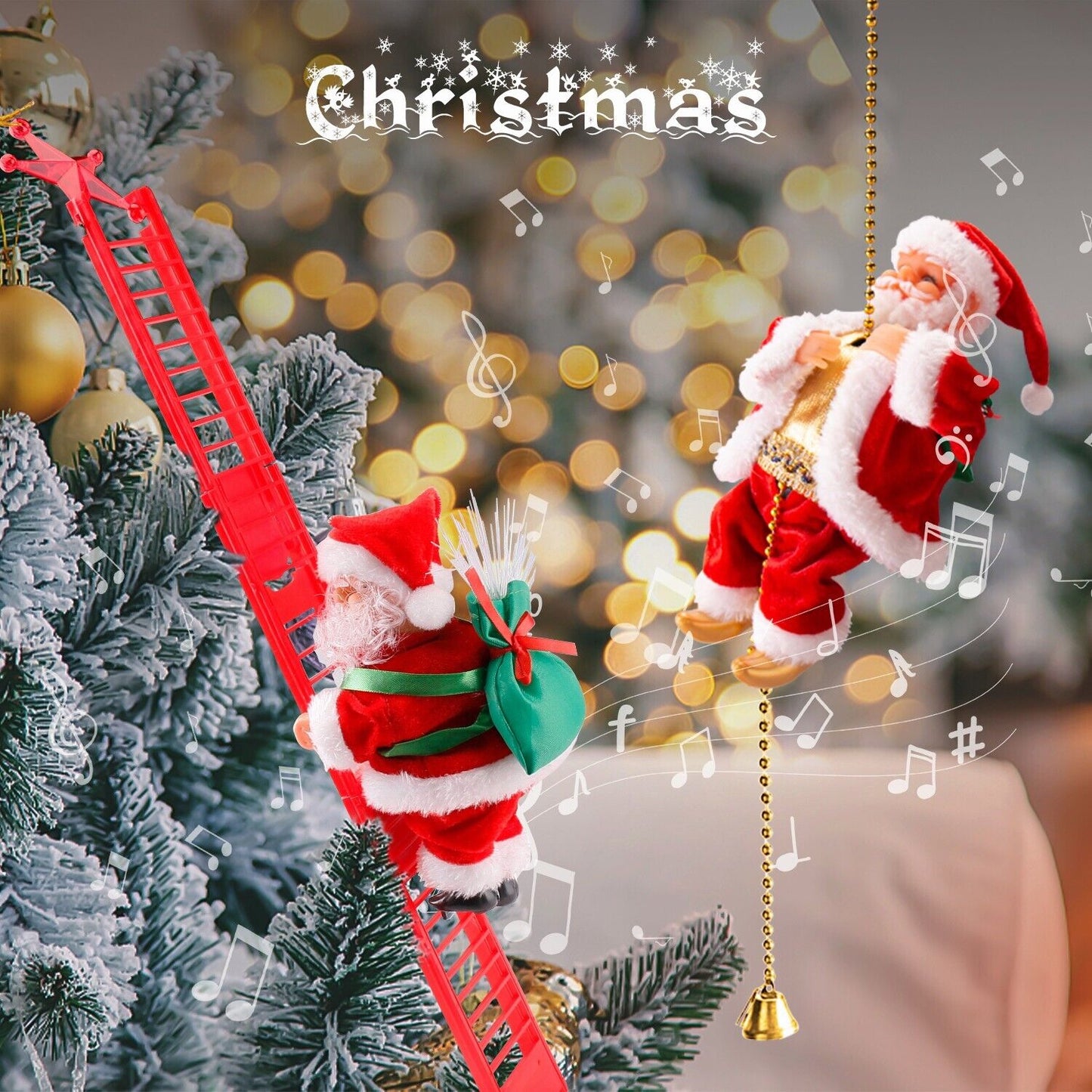 Festimoro™ | Awaken Magic with Every Climb