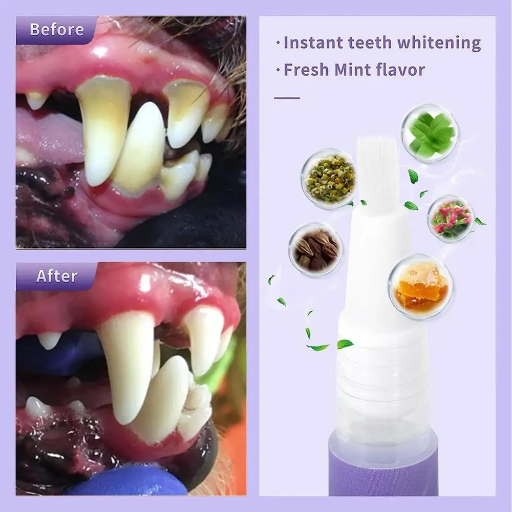 FellGlanz™ | Fresh Breath and Healthy Teeth
