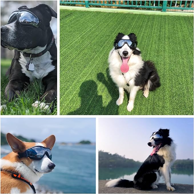 🔥BUY 2 GET 10% OFF💝Outdoor Goggles for Your Dogs