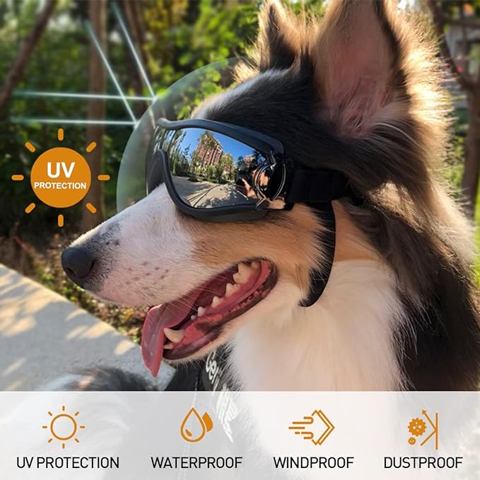 🔥BUY 2 GET 10% OFF💝Outdoor Goggles for Your Dogs