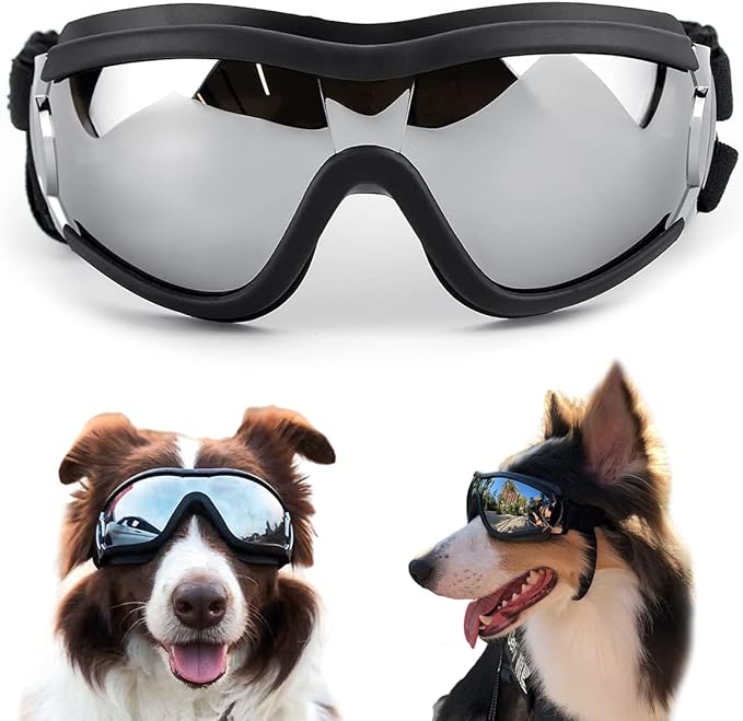 🔥BUY 2 GET 10% OFF💝Outdoor Goggles for Your Dogs